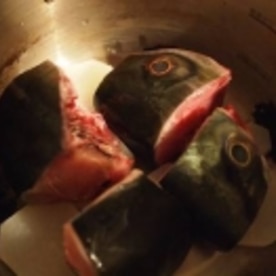 鰤の頭を圧力鍋で簡単に 鰤大根 レシピ 作り方 By ブ 子 楽天レシピ 鰤の頭を圧力鍋で簡単に 鰤大根 レシピ 作り方 By ブ 子 楽天レシピ